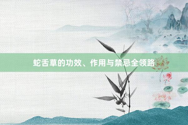 蛇舌草的功效、作用与禁忌全领路