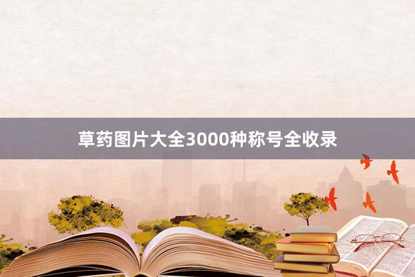 草药图片大全3000种称号全收录